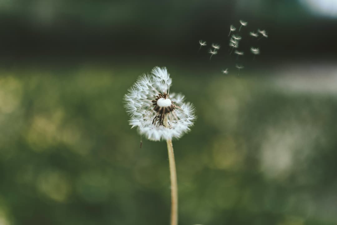 Embracing the new year: Navigating inner conflicts and unresolved issues