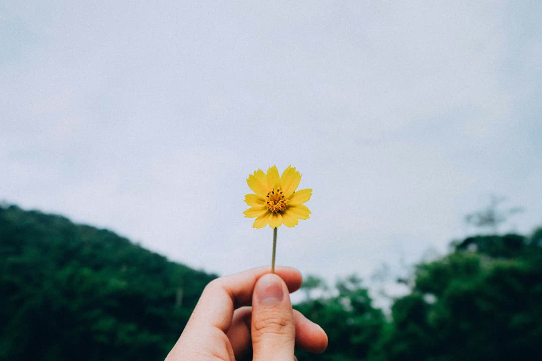 A Closer Look at Schema Therapy
